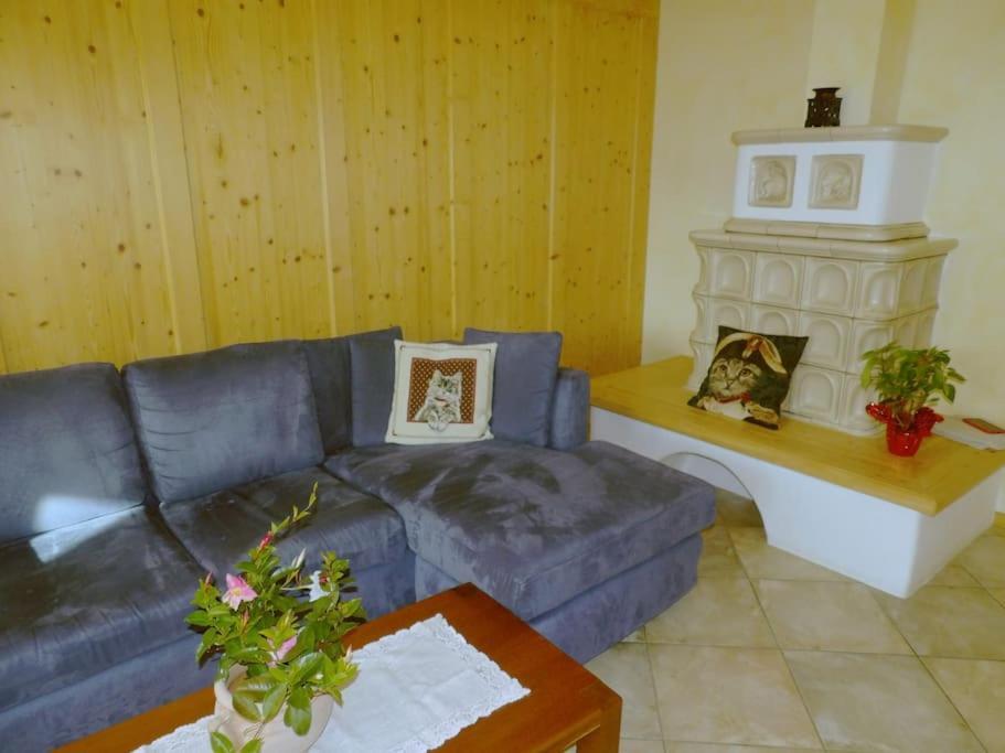 Ciasa Gran Panorama Moena Apartment Екстериор снимка